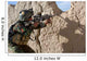 Afghan Commando Keeps Watch Wall Decal