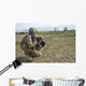 Us Soldier Patrols Village Wall Decal