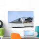 Pilot Salutes Prior to Wall Decal