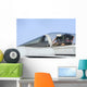 Pilot Salutes Prior to Wall Decal
