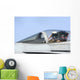 Pilot Salutes Prior to Wall Decal