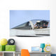 Pilot Salutes Prior to Wall Decal