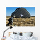 Us Army Soldier Lands Wall Decal