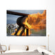 Firefighters Participate Annual Aircraft Wall Decal