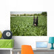 Military Working Dog Sits Wall Decal