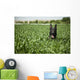 Military Working Dog Sits Wall Decal
