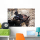Us Marine Scans for Wall Decal Design 2
