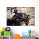 Us Marine Scans for Wall Decal Design 2