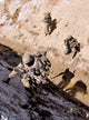 Soldiers Approach Suspected Weapons Wall Decal