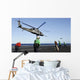 Us Air Force Hh-60g Wall Decal