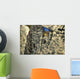 Us Army Medal Honor Wall Decal