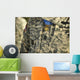 Us Army Medal Honor Wall Decal