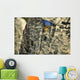 Us Army Medal Honor Wall Decal