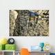 Us Army Medal Honor Wall Decal