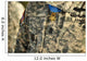 Us Army Medal Honor Wall Decal