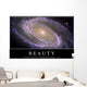 Beauty Inspirational Quote and Wall Decal Design 2