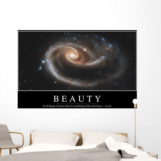 Beauty Inspirational Quote and Wall Decal Design 1