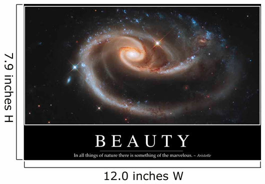Beauty Inspirational Quote and Wall Decal Design 1