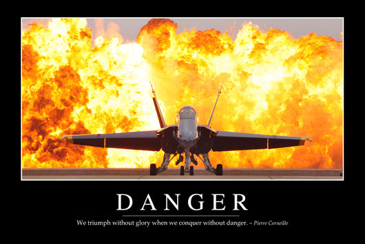 Danger Inspirational Quote and Wall Decal