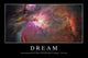 Dream Inspirational Quote and Wall Decal