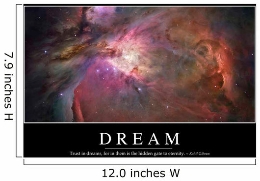 Dream Inspirational Quote and Wall Decal