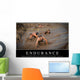 Endurance Inspirational Quote and Wall Decal