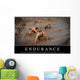 Endurance Inspirational Quote and Wall Decal