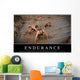 Endurance Inspirational Quote and Wall Decal