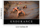 Endurance Inspirational Quote and Wall Decal