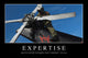 Expertise Inspirational Quote and Wall Decal