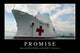 Promise Inspirational Quote and Wall Decal Design 2