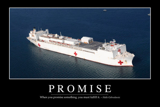 Promise Inspirational Quote and Wall Decal Design 1