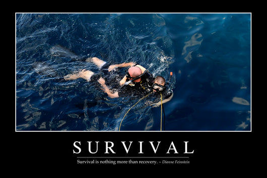 Survival Inspirational Quote and Wall Decal Design 2