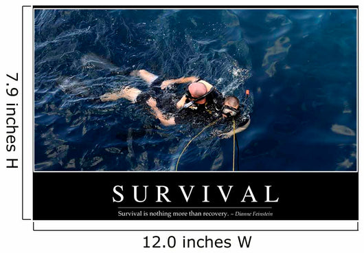 Survival Inspirational Quote and Wall Decal Design 2