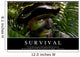 Survival Inspirational Quote and Wall Decal Design 1