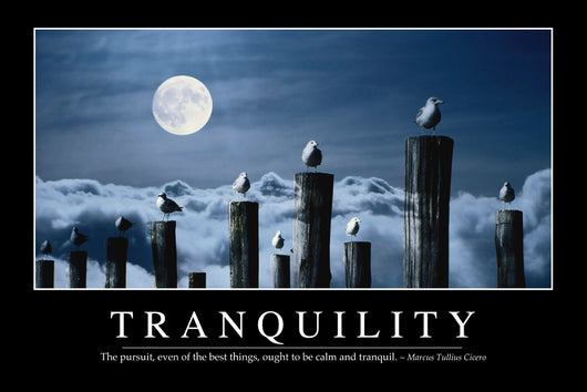 Tranquility Inspirational Quote and Wall Decal