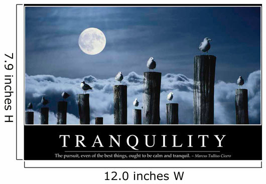Tranquility Inspirational Quote and Wall Decal