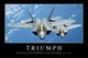 Triumph Inspirational Quote and Wall Decal Design 1