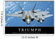 Triumph Inspirational Quote and Wall Decal Design 1