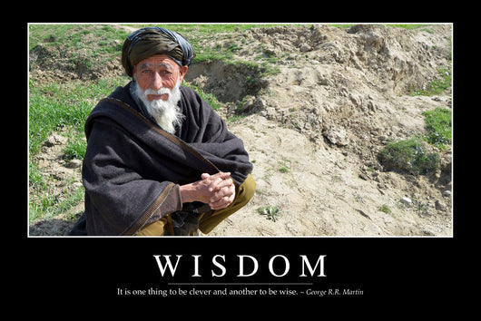 Wisdom Inspirational Quote and Wall Decal Design 2