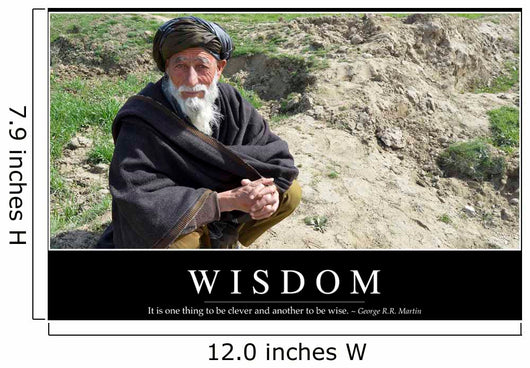 Wisdom Inspirational Quote and Wall Decal Design 2