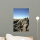 Soldiers Conduct Census to Wall Decal