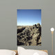 Soldiers Conduct Census to Wall Decal
