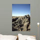 Soldiers Conduct Census to Wall Decal