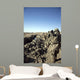 Soldiers Conduct Census to Wall Decal