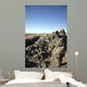 Soldiers Conduct Census to Wall Decal