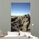 Soldiers Conduct Census to Wall Decal