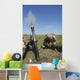 Us Marines Fire M252 Wall Decal