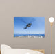Sh-60r Seahawk Delivers Supplies Wall Decal