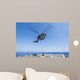 Sh-60r Seahawk Delivers Supplies Wall Decal